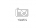 竞椅Project Arielle智能科